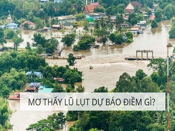 Tham khảo con số may mắn khi mơ thấy lũ lụt 