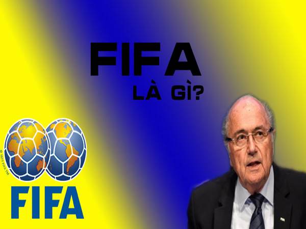 FIFA là gì? Vai trò nhiệm vụ chính của tổ chức này