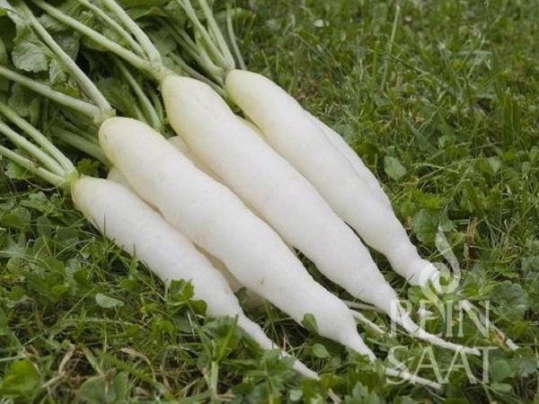Tham khảo con số may mắn khi nằm mơ thấy là gì