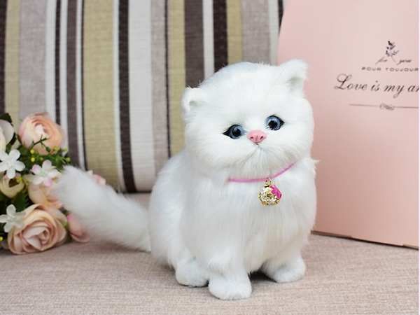 Nằm mơ thấy mèo trắng đánh số mấy - Giải mã giấc mơ