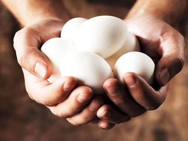 mơ thấy trứng vịt đánh con gì