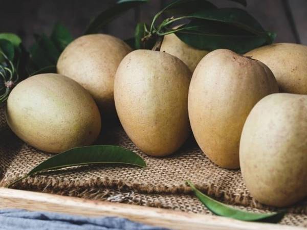 Nằm mơ thấy quả hồng xiêm đánh số mấy mang đến may mắn 1 Nằm mơ thấy quả hồng xiêm đánh số mấy mang đến may mắn 1