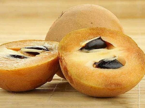 Nằm mơ thấy quả hồng xiêm đánh số mấy mang đến may mắn 2 Nằm mơ thấy quả hồng xiêm đánh số mấy mang đến may mắn 2