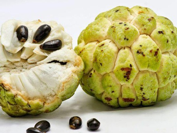 Mơ quả na chín đánh con gì trúng to, là điềm báo gì?