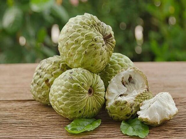 Mơ quả na chín đánh con gì trúng to, là điềm báo gì?