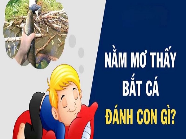 Giải thích giấc mơ bắt cá mang điềm báo gì cho tương lai