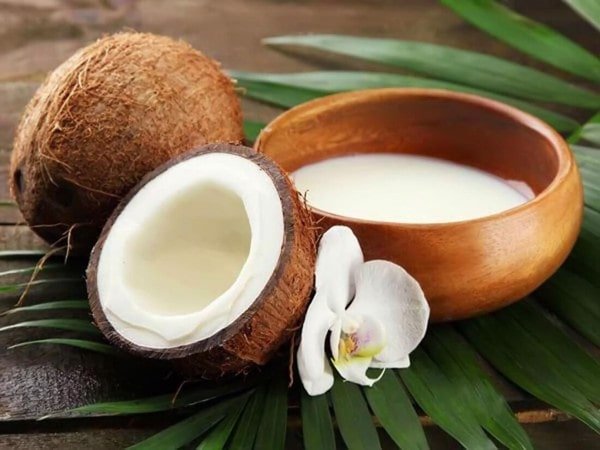 Nhìn thấy quả dừa là điềm gì? Có phải điềm báo dễ đón lộc về nhà?