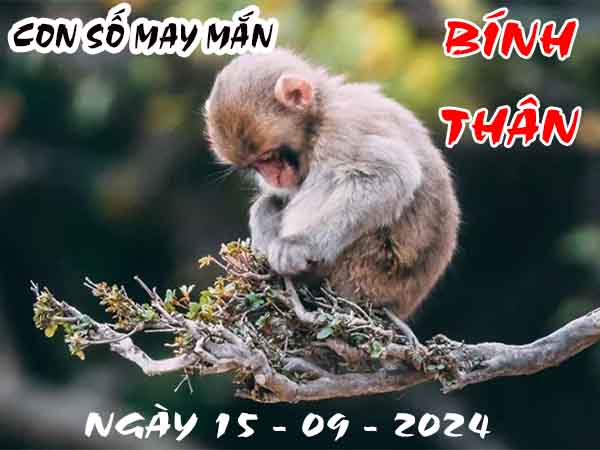 Nhận định con số may mắn tuổi Bính Thân ngày 15/9/2024 chủ nhật hôm nay