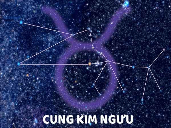 Chi tiết tử vi cung Kim Ngưu ngày 19/4/2025 thứ 7 hôm nay