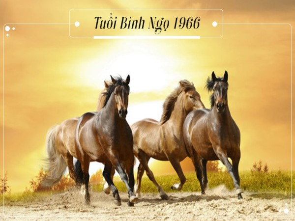 Bộ số may mắn dành riêng cho tuổi Bính Ngọ ngày 30/5/2025