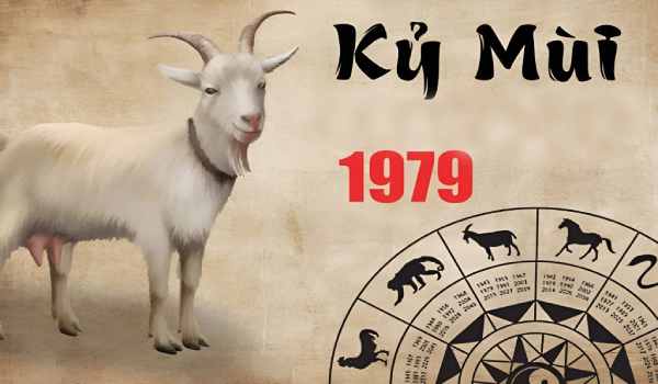 Phân tích cặp số đẹp cho tuổi Kỷ Mùi 25/6/2025 hôm nay