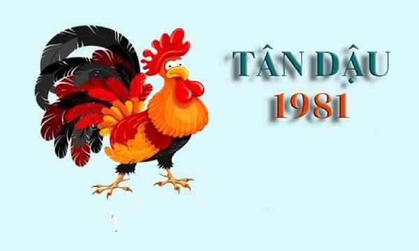 Phân tích con số đẹp tuổi Tân Dậu 23/7/2025 có hút may mắn?