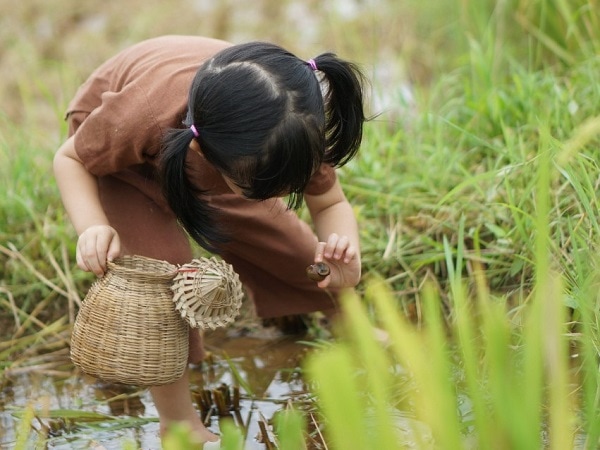 Giải mã ngủ mơ thấy bắt cua đánh con gì, số mấy may mắn?