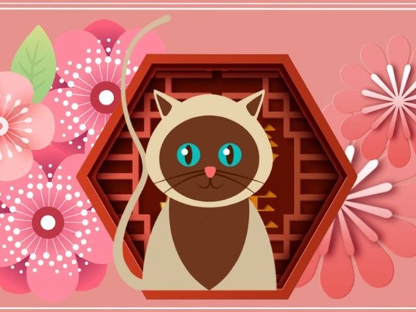 Con số may mắn hôm nay 15/3/2026 chủ nhật tuổi Mão