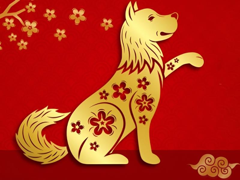 Tổng quan tử vi tuổi Tuất ngày 28/3/2026 tốt hay xấu?